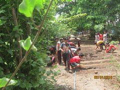 Gardening Activity for Students