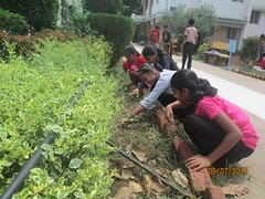 Gardening Activity for Students